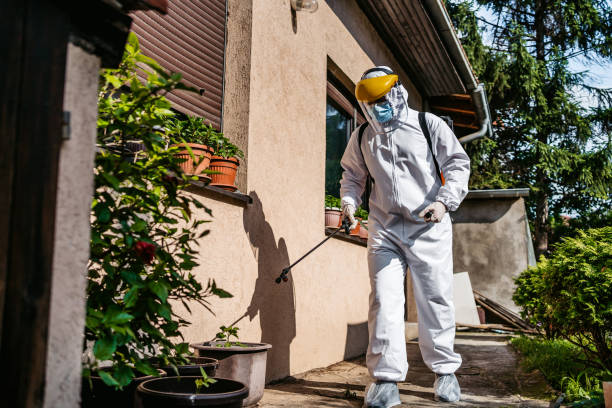 Wasp Removal Services in Walden, NY