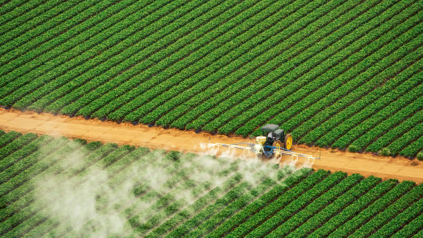 Best Pest Control Treatment  in Walden, NY